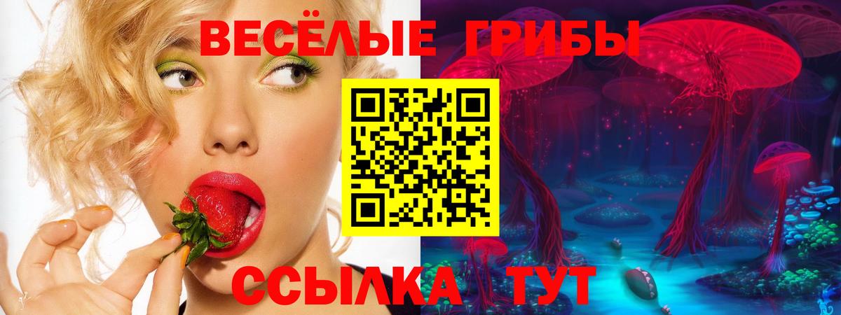 Советская Гавань  Галлюциногенные грибы Psilocybe  Вход с VPN 